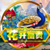富貴花開