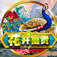 富貴花開