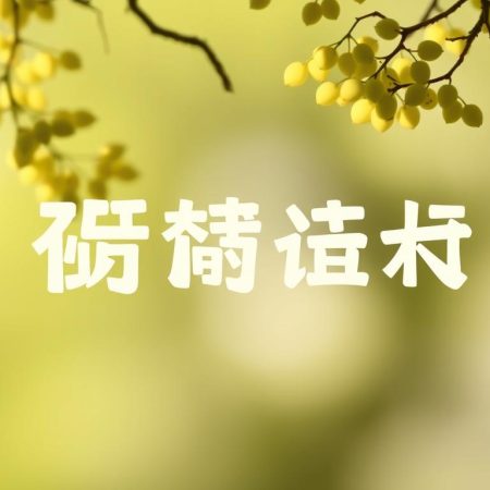 大老2新手入門指南